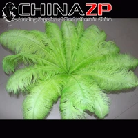 chinazp factory large size 6570cm 2628 50pcslot top quality dyed lime green ostrich feathers