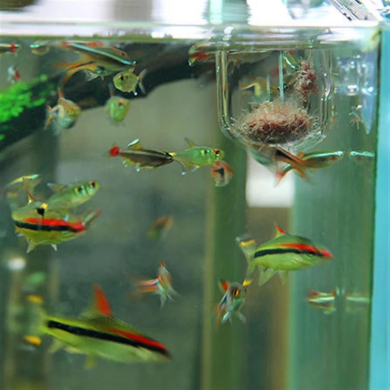 Водные принадлежности стеклянная чашка для кормления воды трава украшения