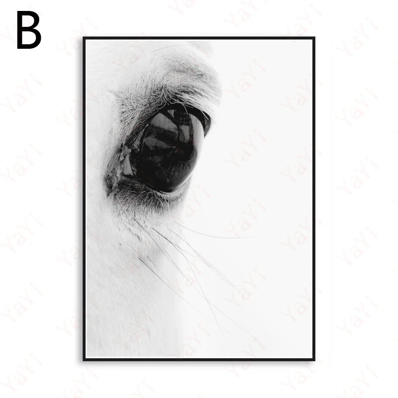 White Black Animal Canvas Wall Art Elephant Painting Picture For Home Living Room Bedroom Study Decor Large Quality No Frame | Дом и сад