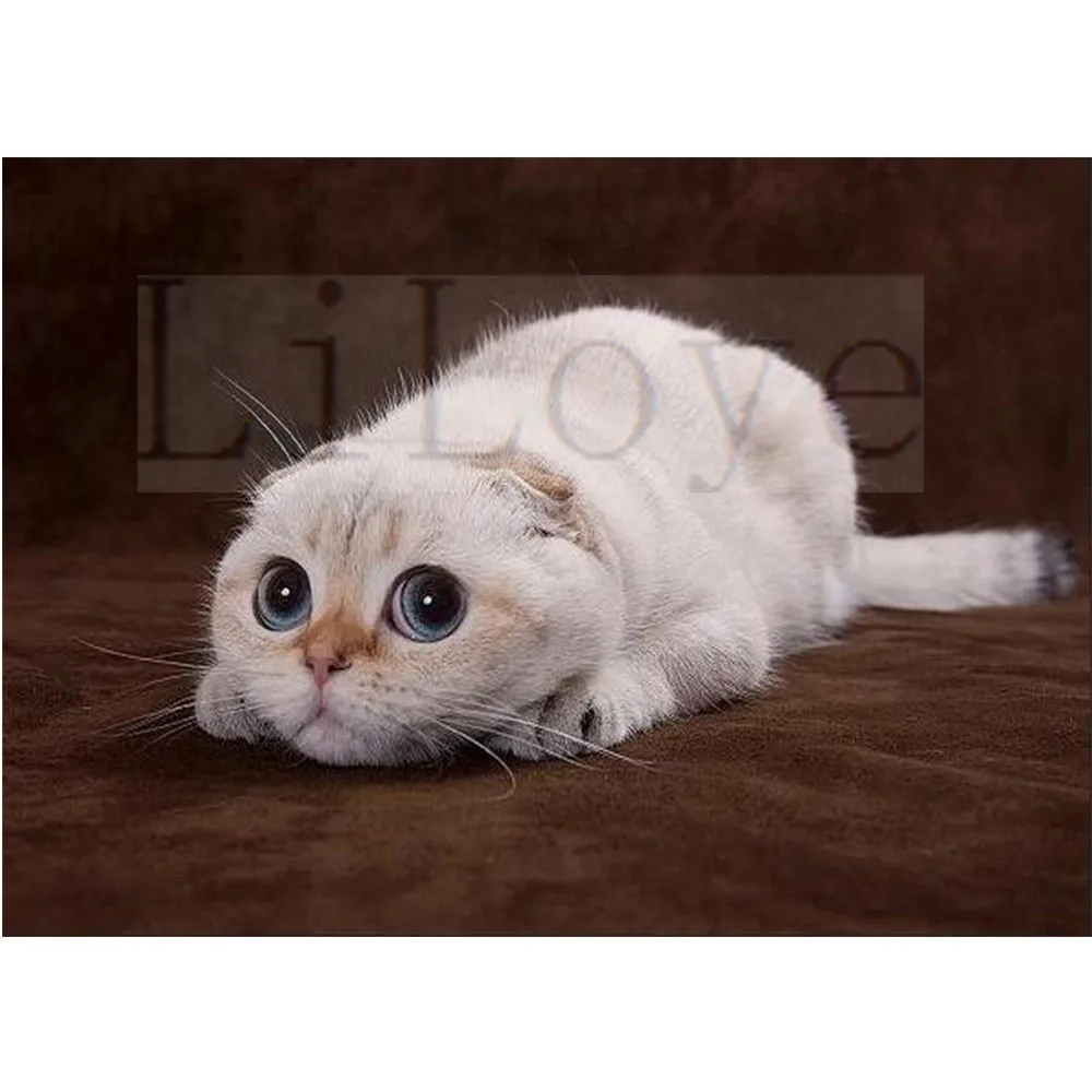 

New Diamond Embroidery Cat 5D DIY Diamond Painting Cross stitch Full Square Diamond Mosaic Decoration Paintings gift Kits FZ848