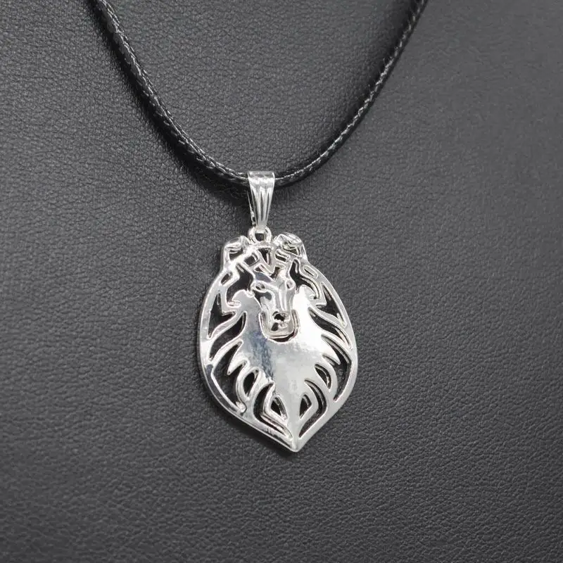 Women's Rope Chain Metal Rough Collie Necklaces Lovers' Alloy Pendant Drop Shipping | Украшения и аксессуары