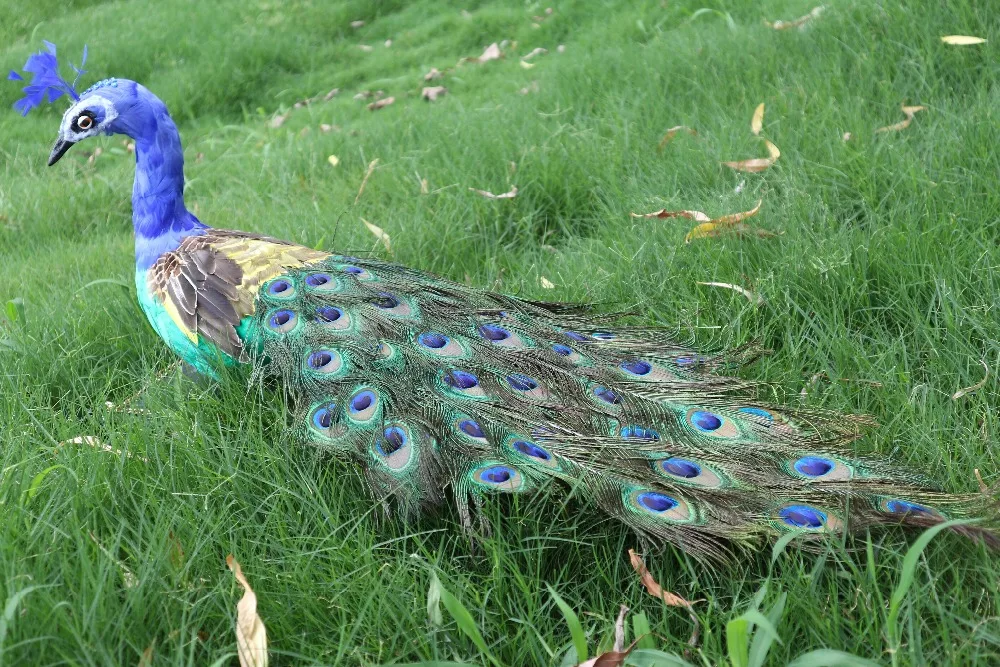 

beautiful feathers peacock model large 100cm simulation peacock bird handicraft party prop,home garden decoration gift p0892