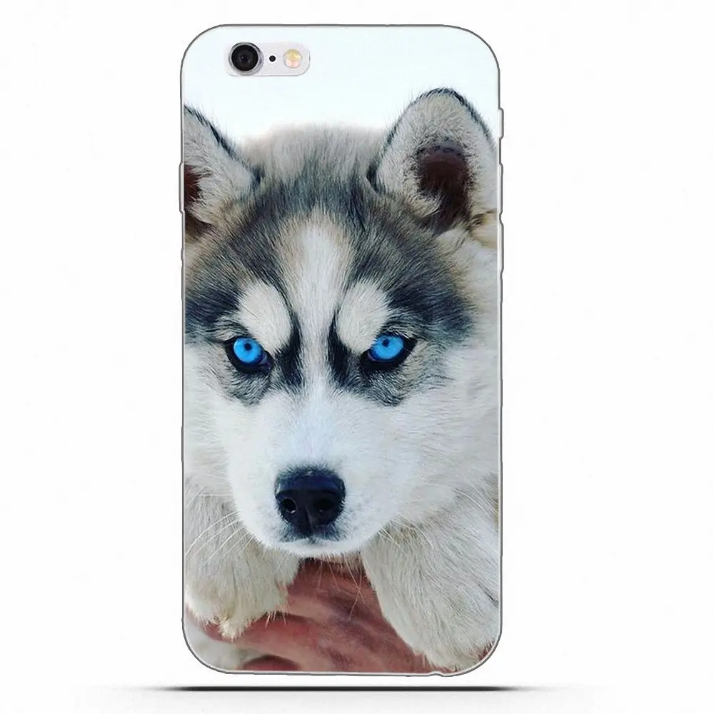 Чехол Wexoeq для телефона с изображением сибирской хаски Apple iPhone 4 4S 5 5C 5S SE 6 6S 7 8 Plus X |