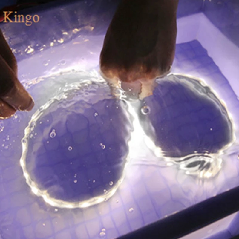 Водонепроницаемая светодиодная лента 5050 светодиодов 12 В 60 светодиодов/м|5050 led