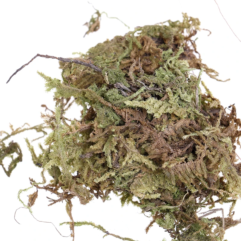 Увлажняющее питательное органическое удобрение 10 г|Органическое удобрение| |