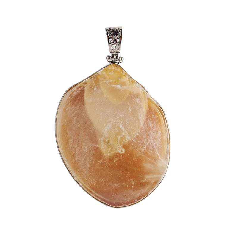 Модные новые трендовые подвески из натуральной улитки раковины сделай сам