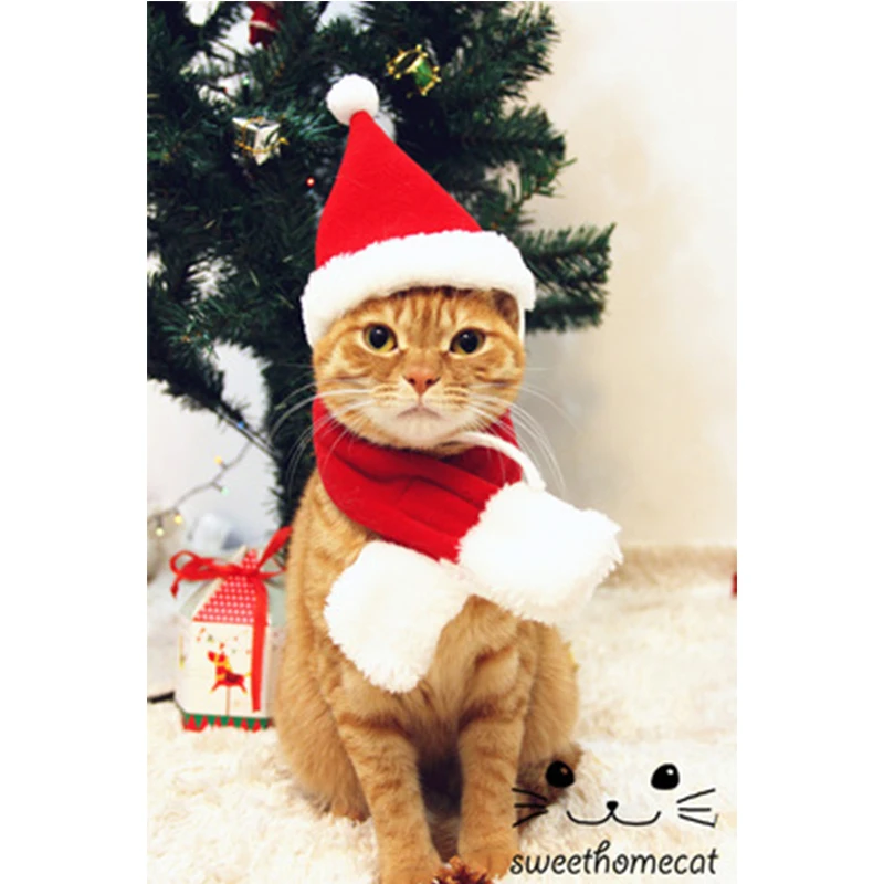 Массажная расческа котенка Xmas наборы шарф шапка теплый рождественский костюм для праздника ПЭТ теплая зимняя одежда милый щенок собака кошка шапки шарф подарок