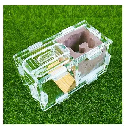 Мини-штукатурка Муравьиное гнездо 2 комнаты искусственный дом Москитная клетка