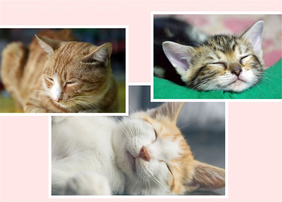 Игрушка для кошек, туннель, забавный туннель для домашних животных, складные объемные игрушки для домашних животных маленького размера, переносные туннельные кровати для кошек, домик и сон с шариком