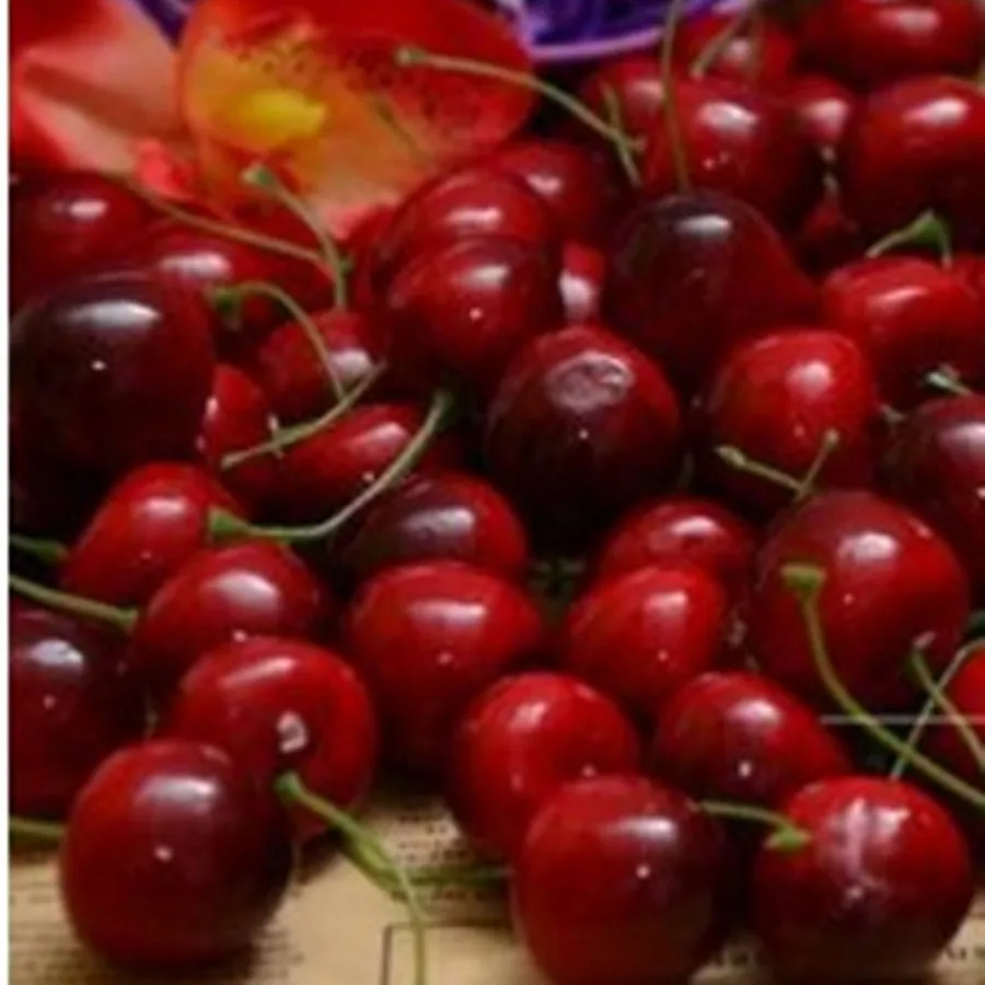 [20 шт./лот] Рождественское украшение искусственные растения для вишен из пены с