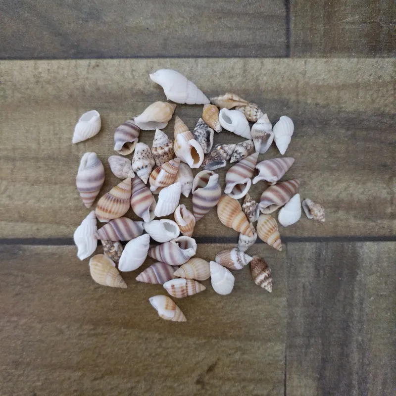 40 шт. ракушки для украшения дома | Дом и сад