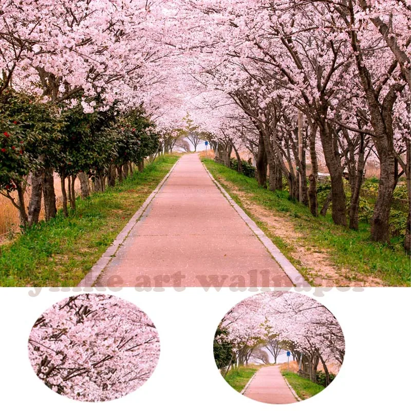 Настенные 3d обои в стиле кантри с изображением розовых цветков вишни