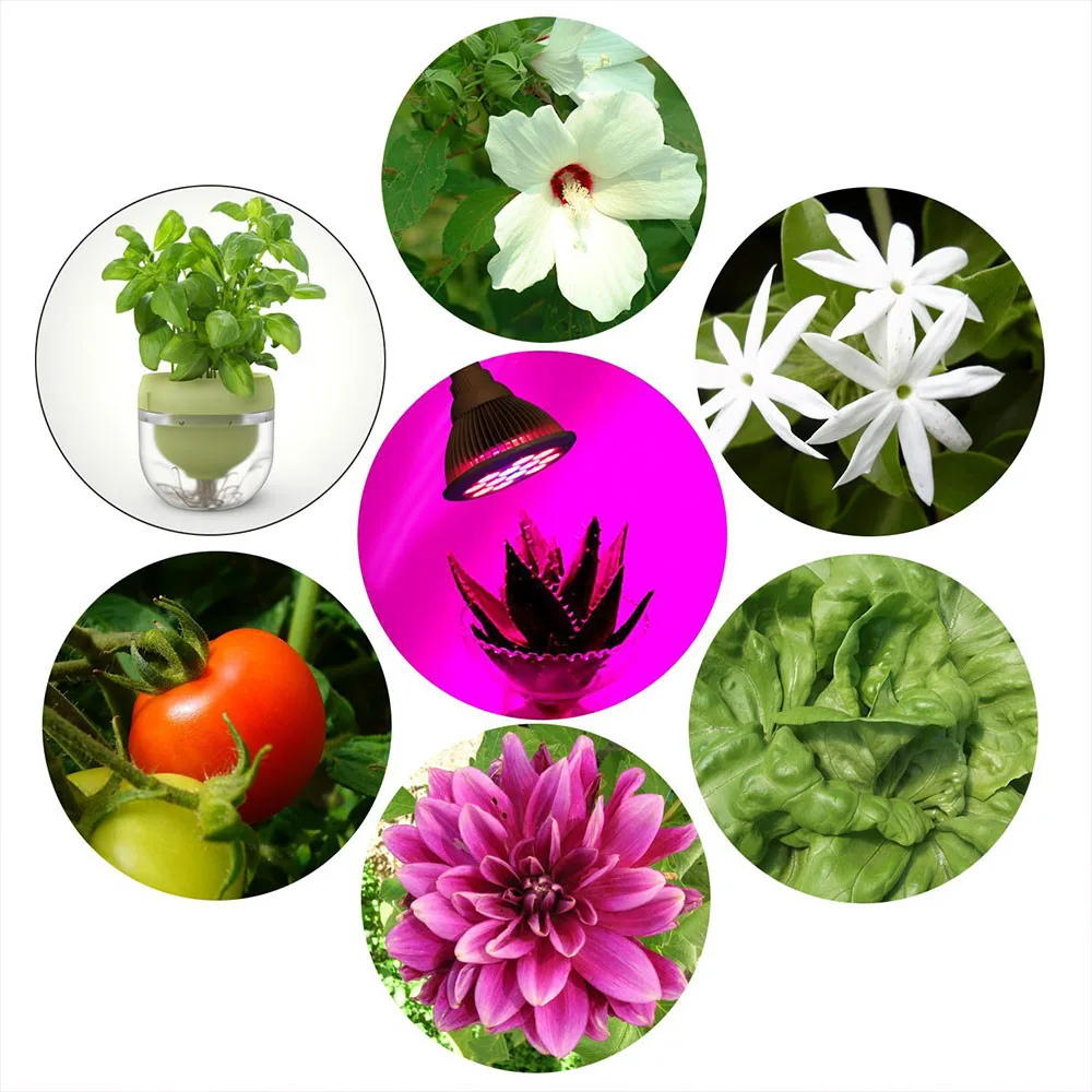 [DBF] светодиодный светильник полного спектра для выращивания растений 15 Вт семян