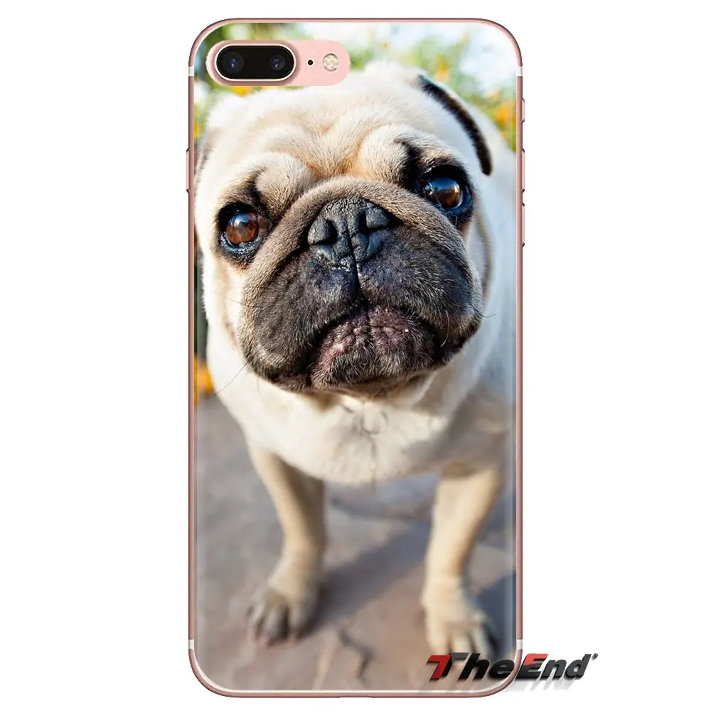 Soft Transparent Cases Covers funny Pug dog For Samsung Galaxy J1 J2 J3 J4 J5 J6 J7 J8 Plus 2018 Prime 2015 2016 2017 |