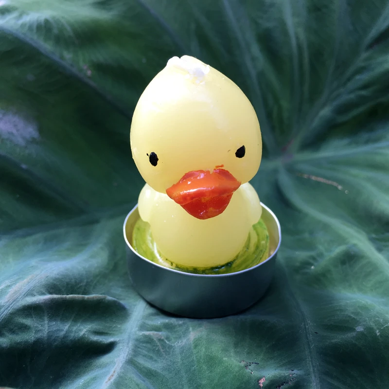 Бесплатная доставка Прямая продажа с фабрики Свадебные украшения Поставка утка