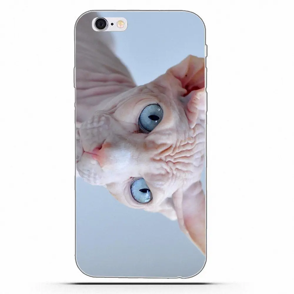 Чехол с кошкой для Samsung Galaxy A3 A5 A7 J1 J2 J3 J5 J7 2015 2016 2017 мягкие прозрачные силиконовые