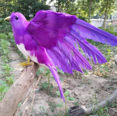 Искусственные пурпурные перья украшение для дома и сада 22 х28 см p2789|bird artificial|birds