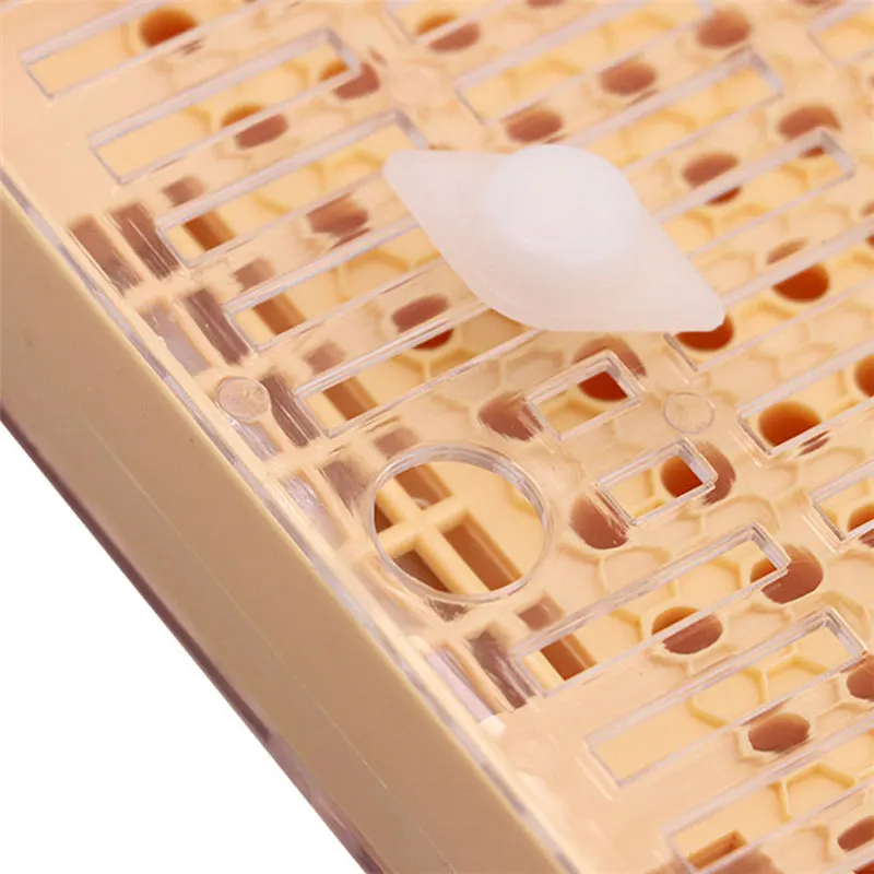 Пчеловодческий инструмент устройство для вывода маток ловушка пчел