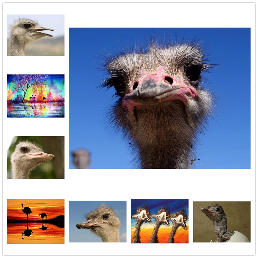

2019 Diy Diamond Embroidery animal ostrich Pattern mosaic 5D Diamond Painting Rhinestone Home Decoration Sticker Drill WG867