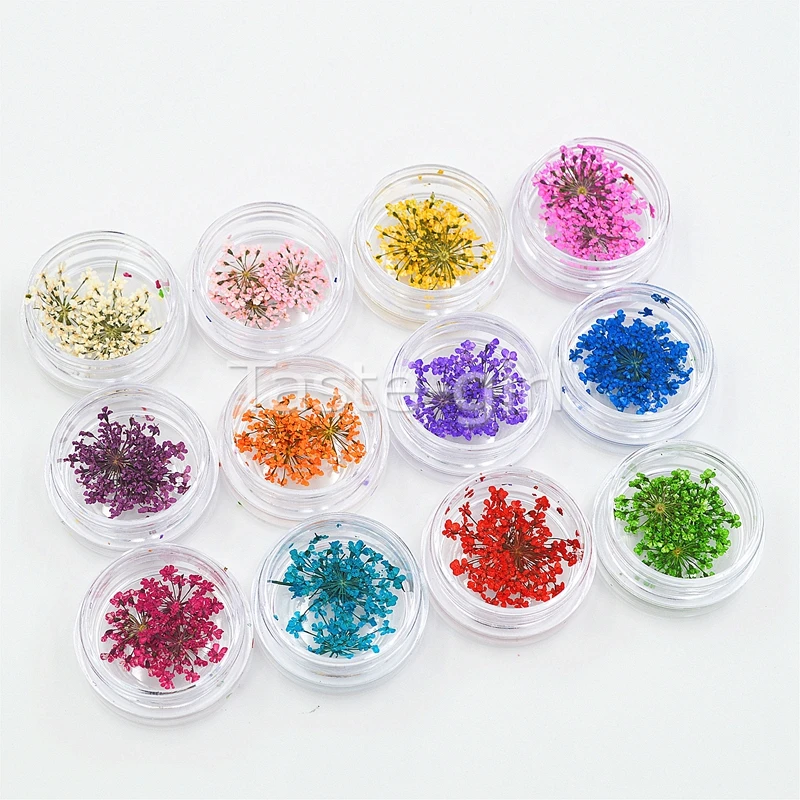 12 цветов натуральный сушеный цветок для УФ-геля ногтей |