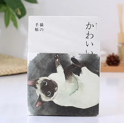 Rixi cat Школьная тетрадь альбом для рисования дневник Рисование пустой бумаги 80 листов эскиз книга креативные офисные школьные принадлежности подарок - Цвет: Rixi cat