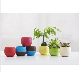 Gardening Mini Plastic Flower Pots Vase Square Bonsai Planter Nursery /flower pots planters/garden 10pcs/lot | Дом и сад