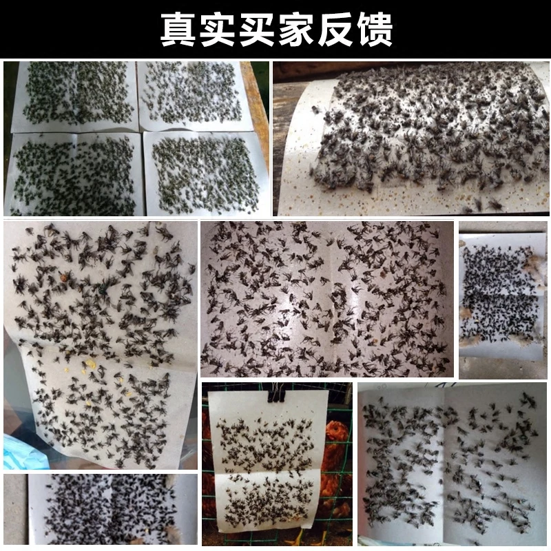 

25PCS/LOT Summer Fly Glue Board Fly Flypaper Plate Summer Essential Dining Family Farm Public Places Fly Disinfestation HH16173