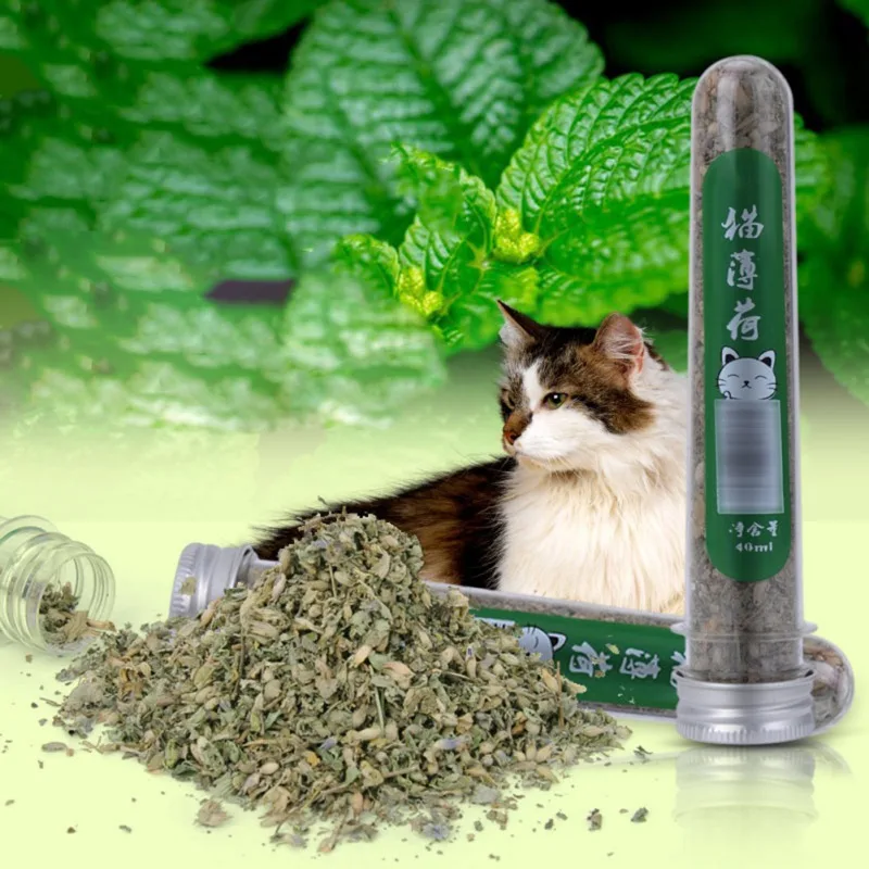 Свежий органический сушеный цветок кошачьей мяты Nepeta Cataria 40 мл для кошек