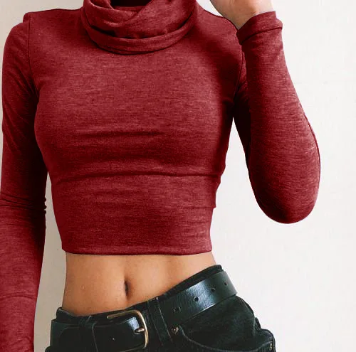 Harajuku Sweatershirt и Пуловеры для женщин 2017 осень зима высокие эластичные водолазка