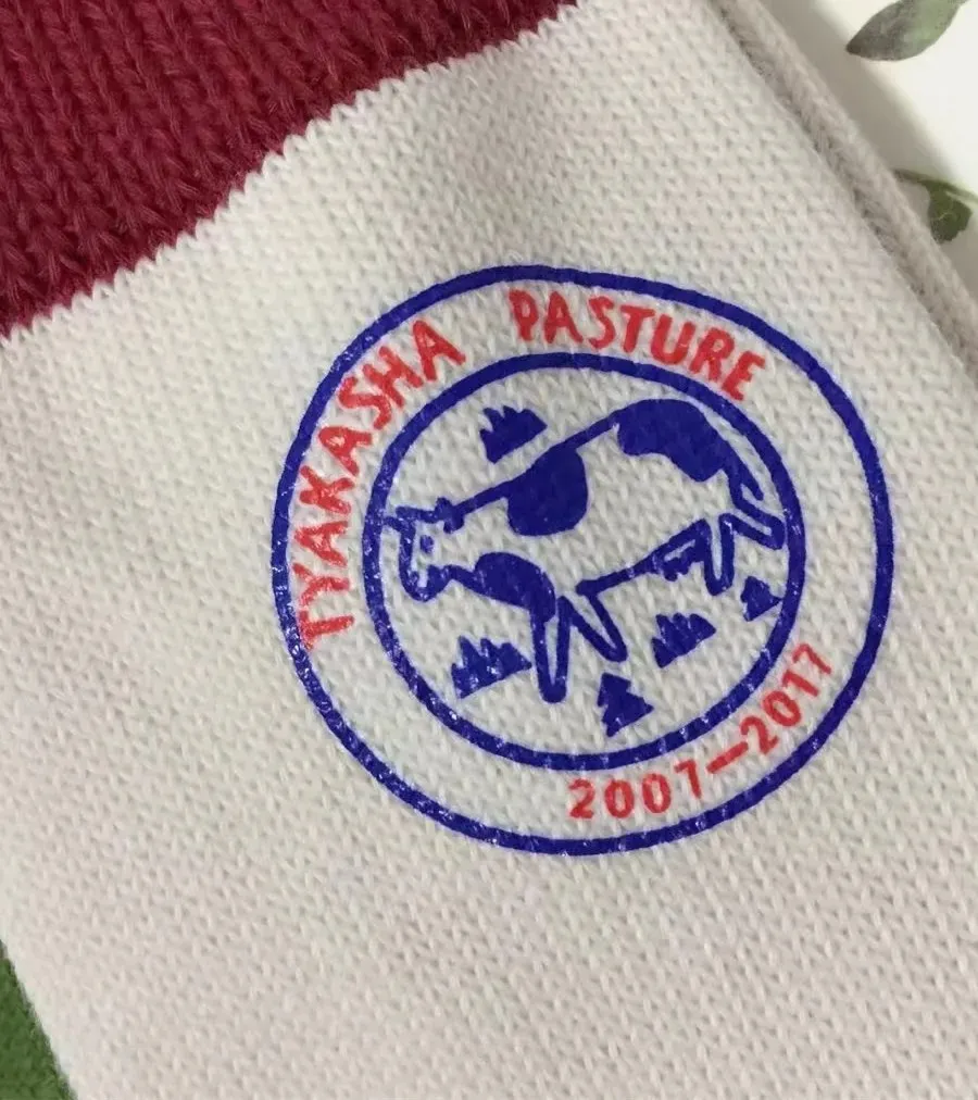 5 пар/лот игривый озорной высокого качества носки для мужчин и женщин модные хит