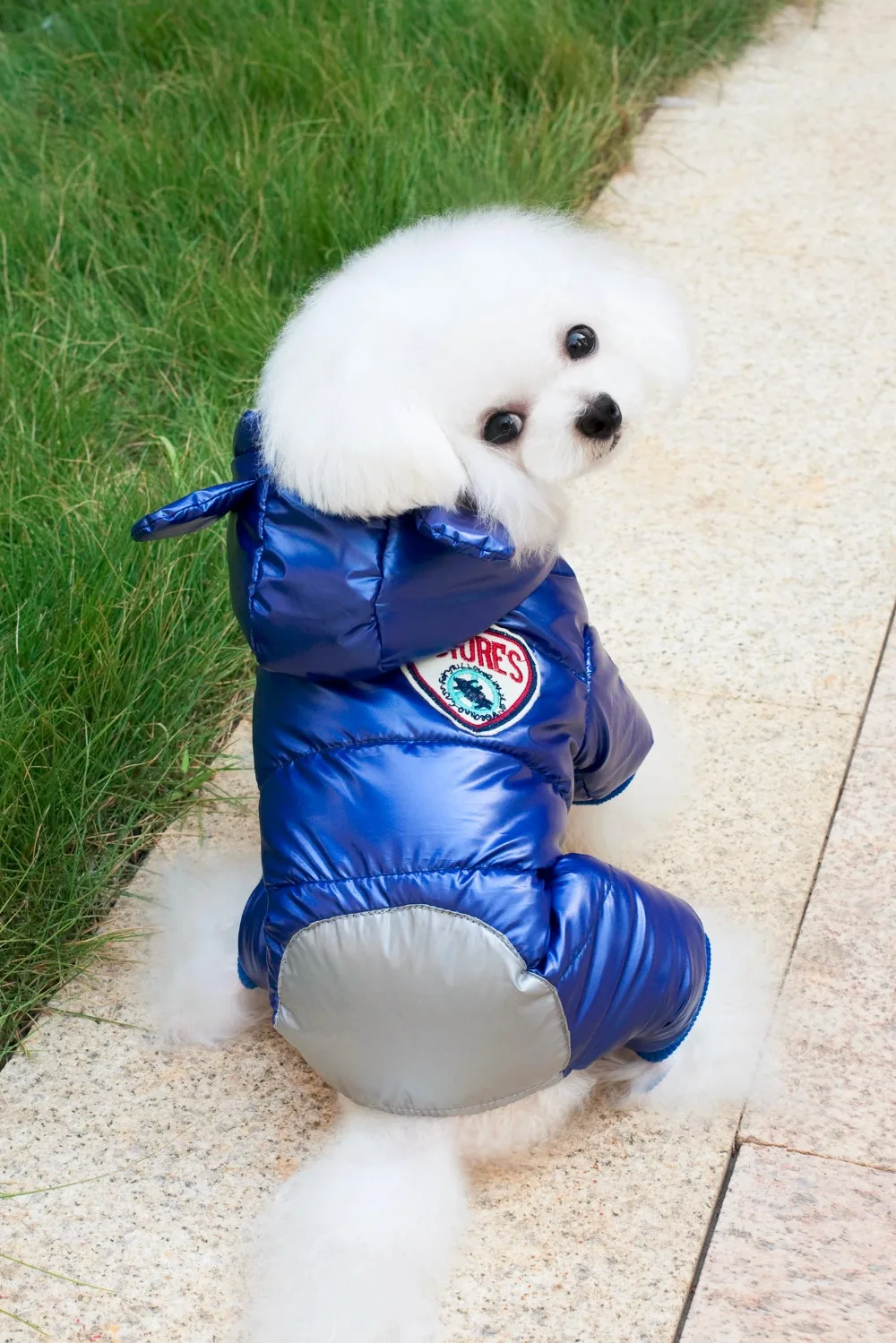 Новая Толстая стильная зимняя куртка для собаки с капюшоном лыжный костюм дизайн