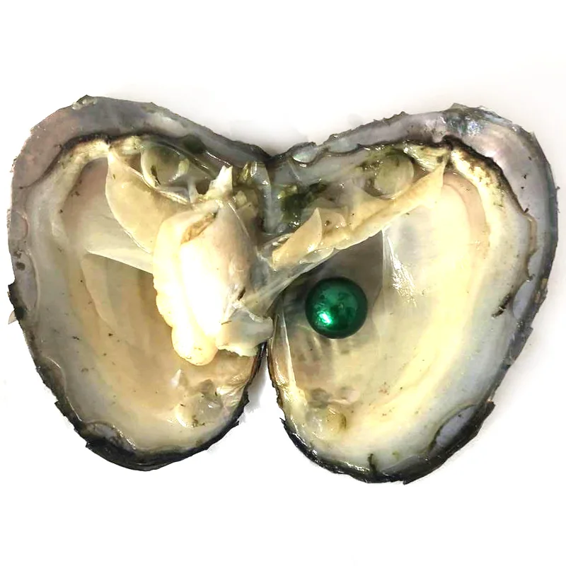2019 DIY Эдисон Oyster Pearl 9-12 мм 16 смешанных цветов пресноводный подарок натуральный