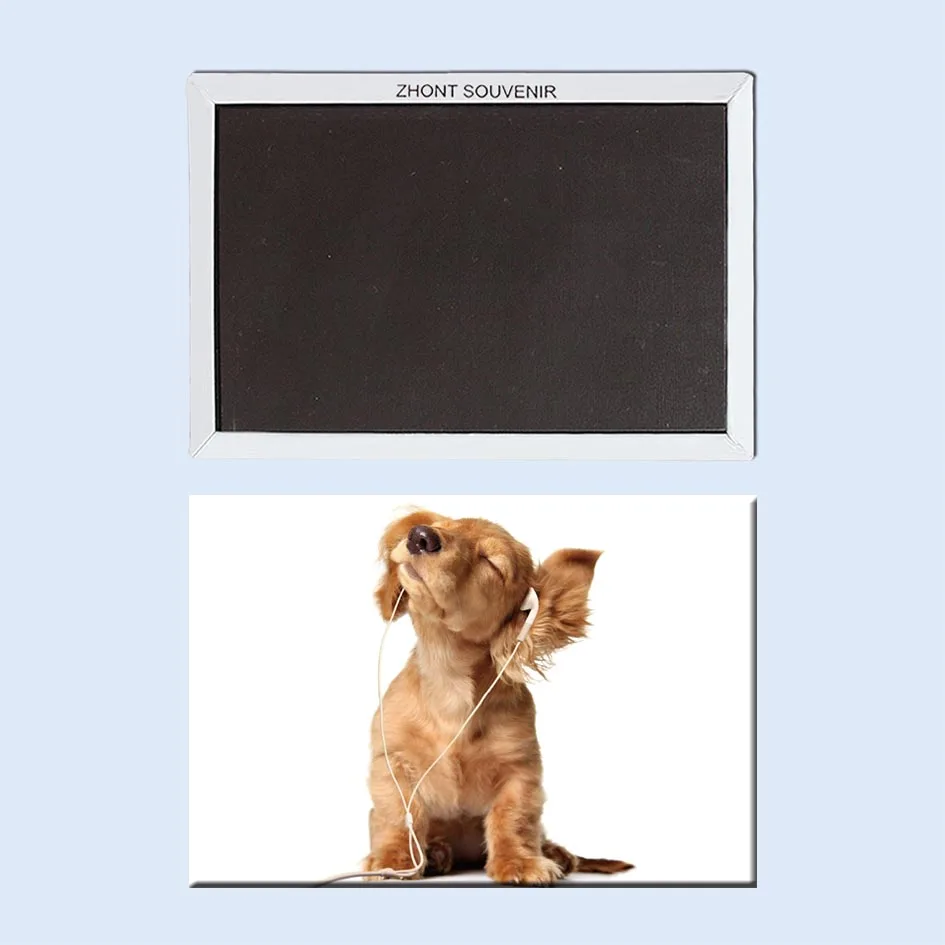

Dog enjoy the sang Fridge Magnets Souvenir 21781