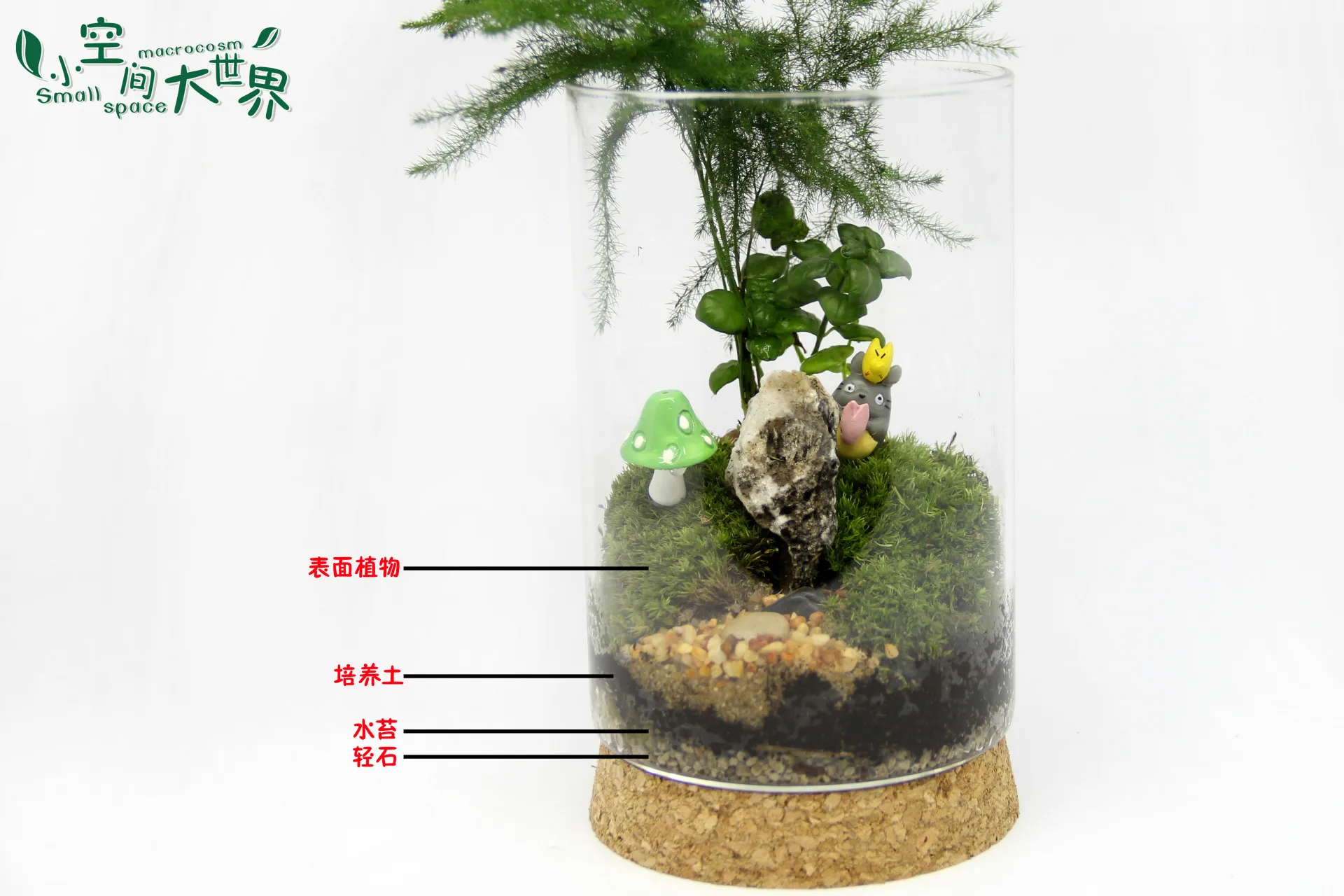 10 г/пакет Высококачественная сухая сфагнемная питательная почва для посадки