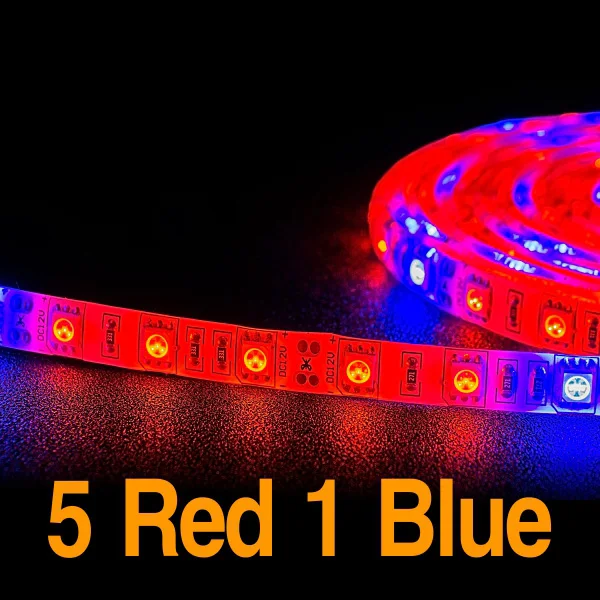 5Red 1Blue 5M Светодиодный 5 м растут светильник полосы S5050 3/4/5 Красный 1 синий полный спектр IP65 Фито лампа DC12V фитолампа для парниковых гидропоники растения лампы для роста растений - Испускаемый цвет: 5Red 1Blue 5M