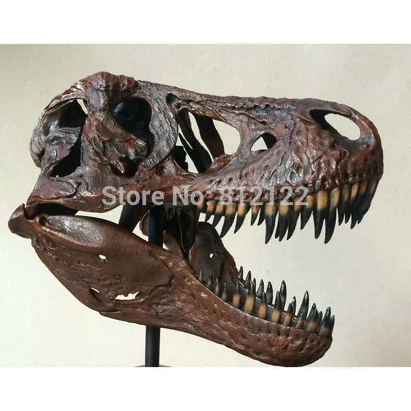 Новейшая модель динозавра тиранозавра Рекс череп для коллекции размером черепа