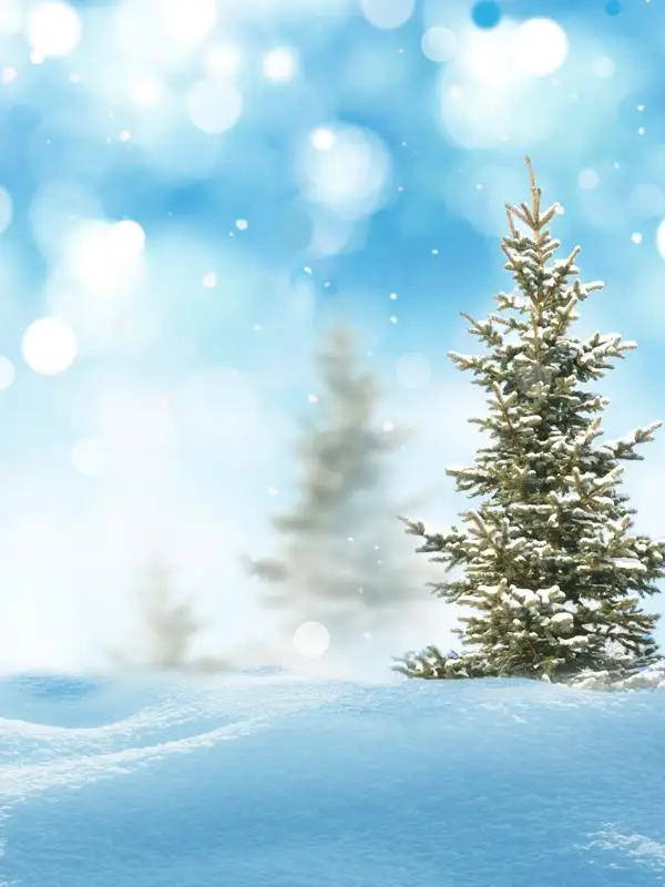 Allenjoy фон для фотостудии рождественского камина сосна снег солнце фотосессия
