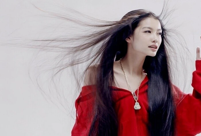 

Free DHL Studio SF-05 Wind Hair Blower Fan for Fashion Portrait Photo Shooting 110V~240V