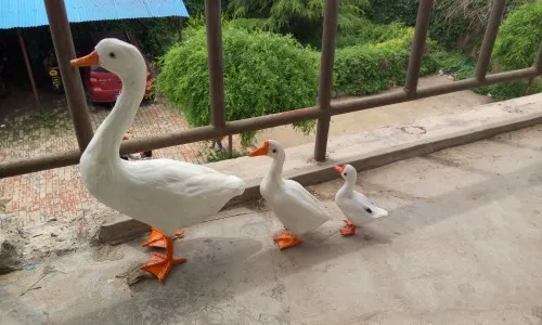 Искусственная белая гусиная перья из полиэтилена и пуха украшение для дома