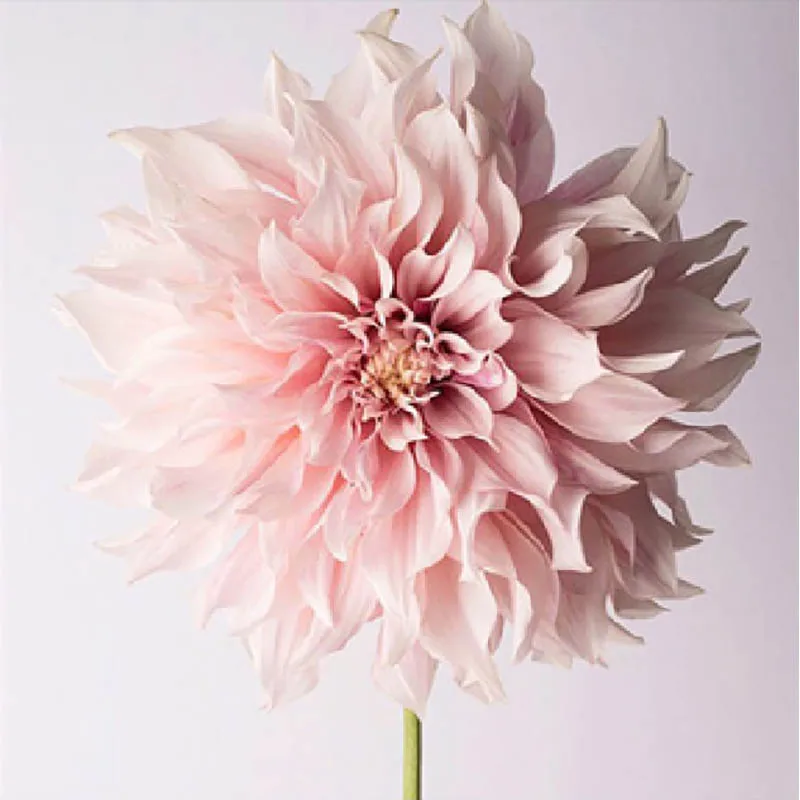 

LaoJieYuan Embroidery Diamond painting&Diy Diamond painting