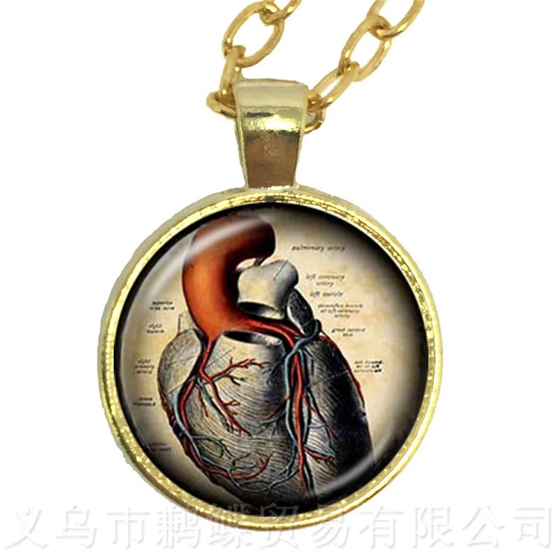 Человеческое анатомическое ожерелье для мозга стеклянный кабошон странная