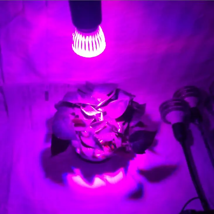 Светодиодсветильник для аквариума лампа E27 морского рифа кораллов водорослей|light