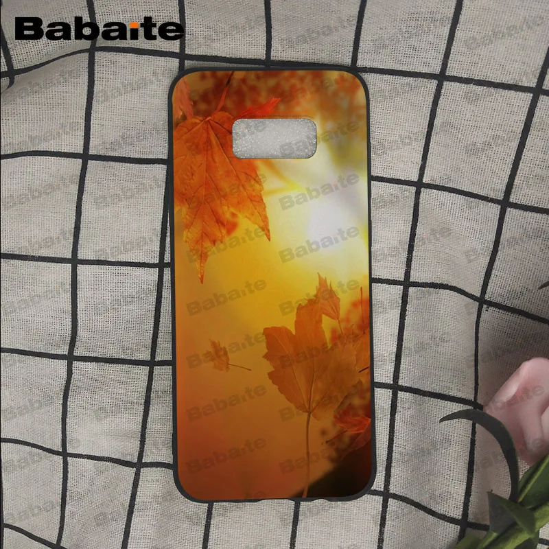 Осенний силиконовый чехол для телефона Samsung Galaxy s9 s8 plus note 8 note9 s7 s6edge funda Babaite |