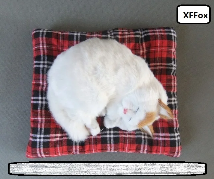 

new real life sleeping yellow head cat model plastic&furs cute simulation white cat doll gift about 18x13cm xf1249