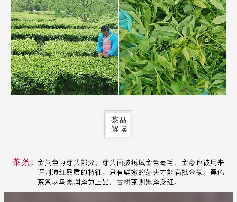500 г Yr Yunnan Fengqing Dian Hong Kung Fu красный чай Maofeng черный чай оптом Диан Hong натуральные продукты для здоровья экологическая еда