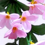 Настенная подвеска в виде листьев орхидеи 4 шт. | Дом и сад