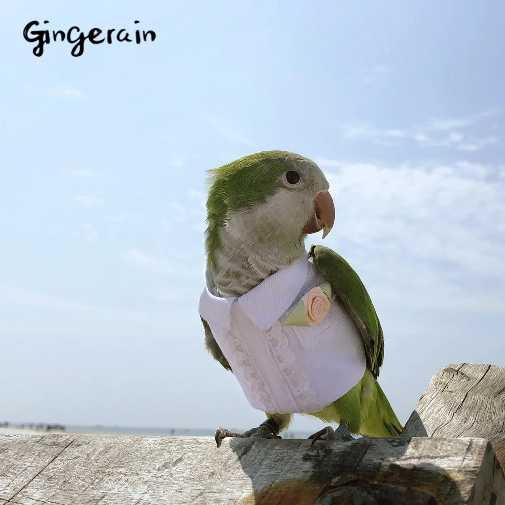 Gingerain одежда с птицами, попугаем, весенняя одежда с цветами, оригинальная ручная работа, одежда с птицами, свитер с капюшоном, весенний цветок