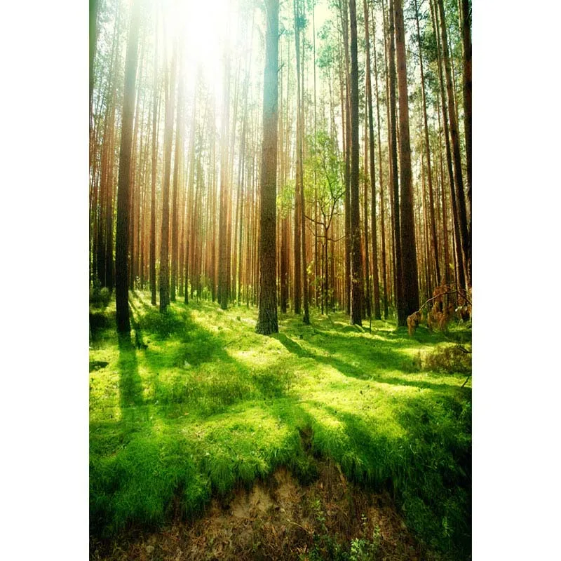 Фотофон Mehofoto фантазийный лес для фотографий деревья фон фотографов