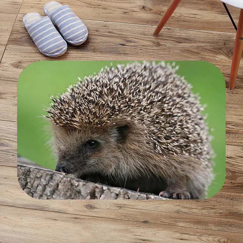 Напольный коврик hedgehog для входной двери пользовательские коврики ванной комнаты