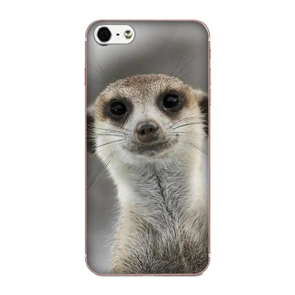 Тонкий силиконовый чехол Meerkat Manor для Huawei Mate 7 8 9 10 20 P8 P9 P10 P20 P30 Lite Plus Pro 2017 | Мобильные